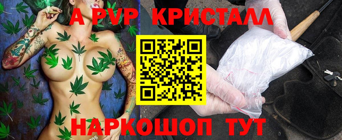 Альфа ПВП СК Маркс