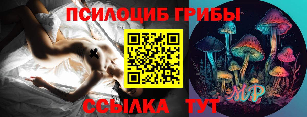 где купить наркоту  Псилоцибиновые грибы Psilocybine cubensis  Вход с VPN  Маркс 